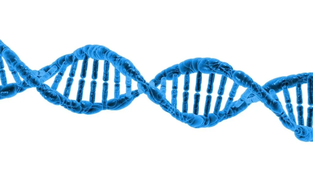 dna, biology, science, dna helix, protein, molecule, molecular structure, chromosome, spiral, microbiology, deoxyribonucleic acid, 3d, render, isolated, dna, dna, dna, dna, dna